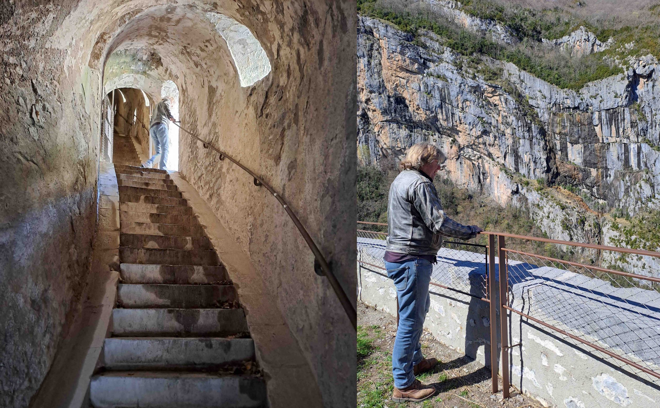 Mus, hok, roos, fort, zon